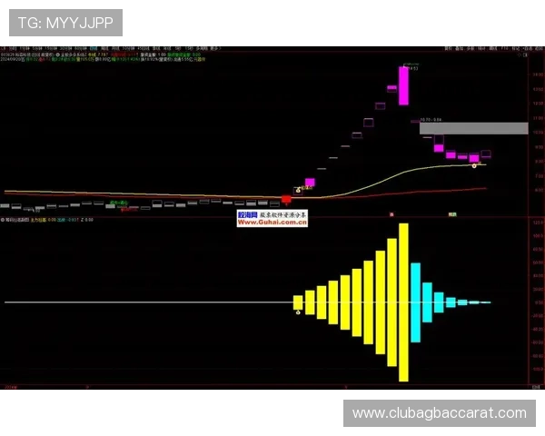 云顶赌场筹码的使用技巧与策略分享提升你的游戏胜率和筹码管理能力