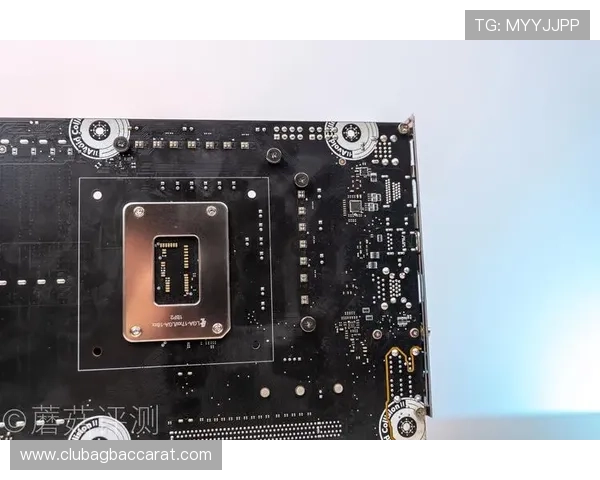 NE真人电子APP最新版本更新内容及优化细节全面解析